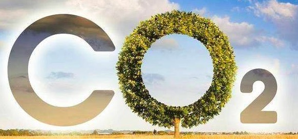 發(fā)揮示范引領(lǐng)作用 推動(dòng)綠色建材發(fā)展