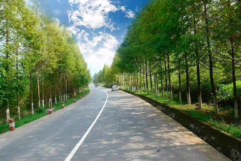  宋疃鎮(zhèn)楊船路道路工程公路