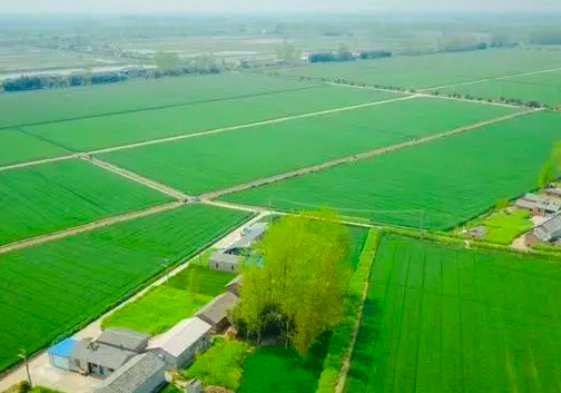  高標(biāo)準(zhǔn)農(nóng)田建設(shè)
